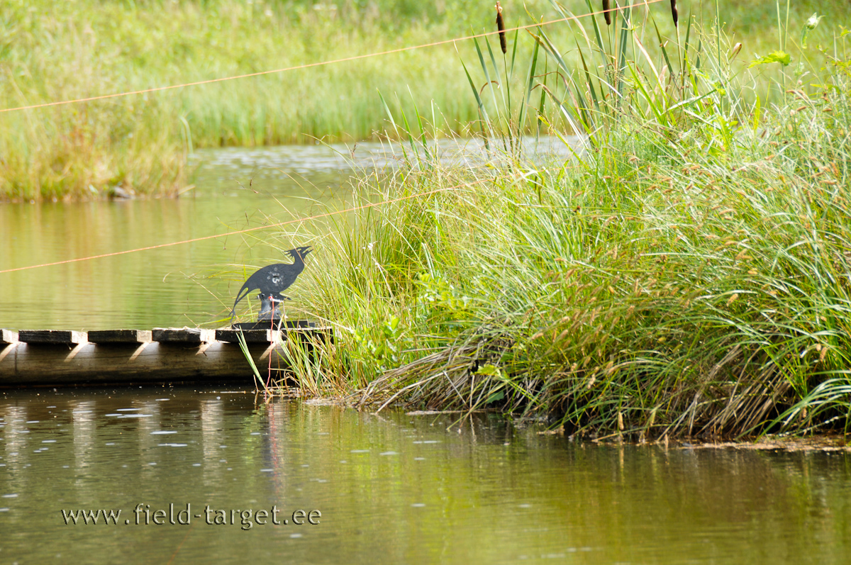Raske saak: LNFTA Draakon
